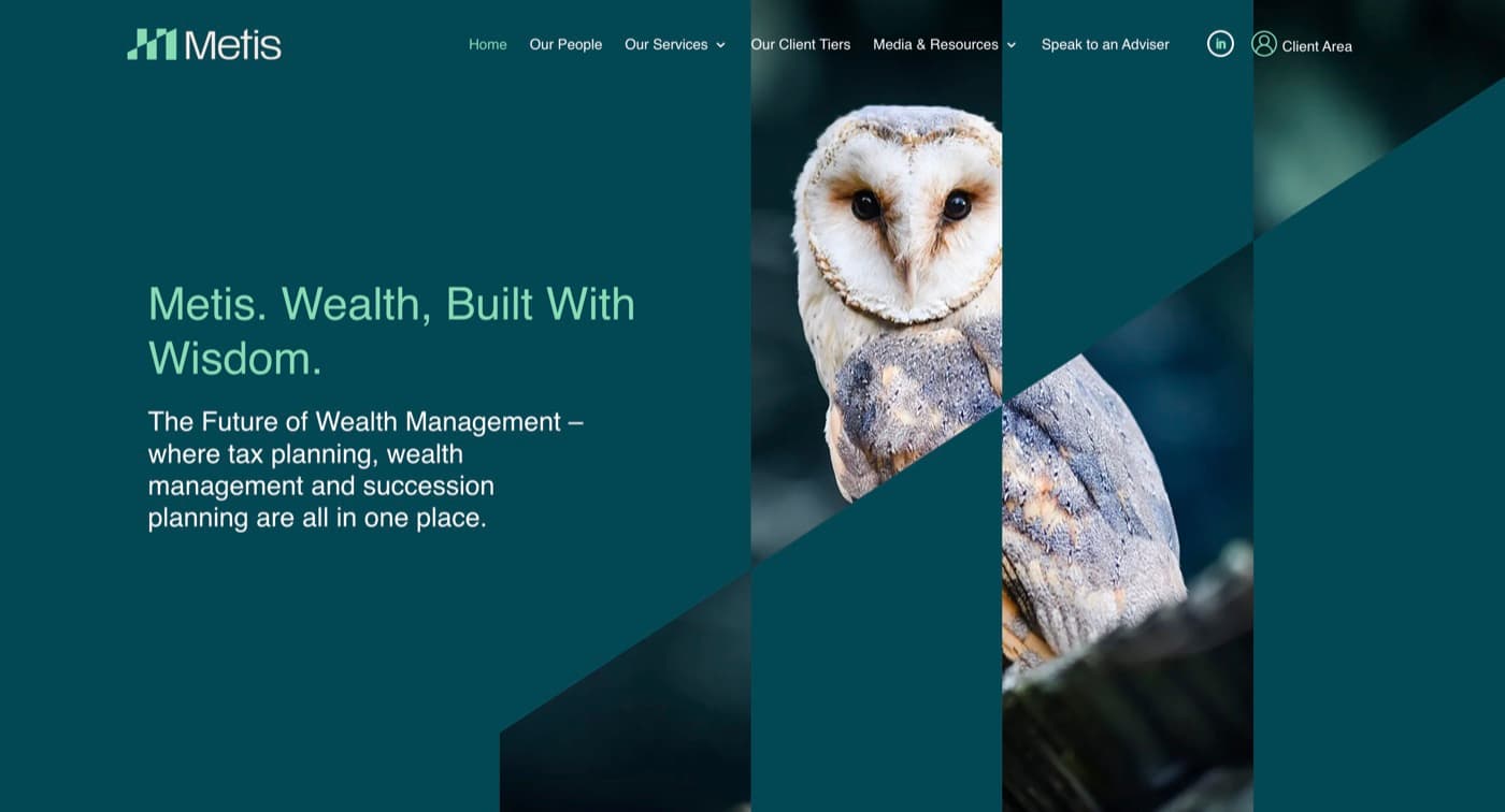 Metis Financial Planning website preview