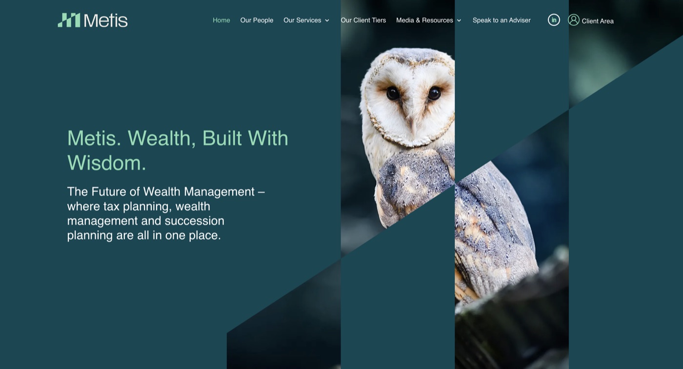 Metis Financial Planning website preview